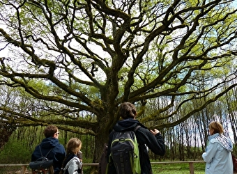 Les sentiers de l'Arche de la biodiversité - SAINT-ELOI
