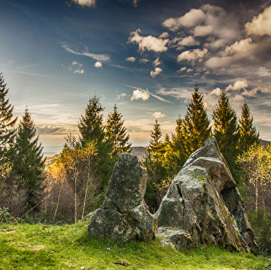 Le mont Beuvray, au coeur du Morvan