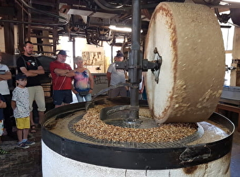 Visite de l'Huilerie du Moulin de l'île - DONZY
