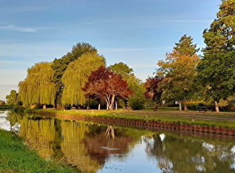 Le Tour de Bourgogne à vélo, section du Canal du Nivernais (V51) - SAINT-LEGER-DES-VIGNES