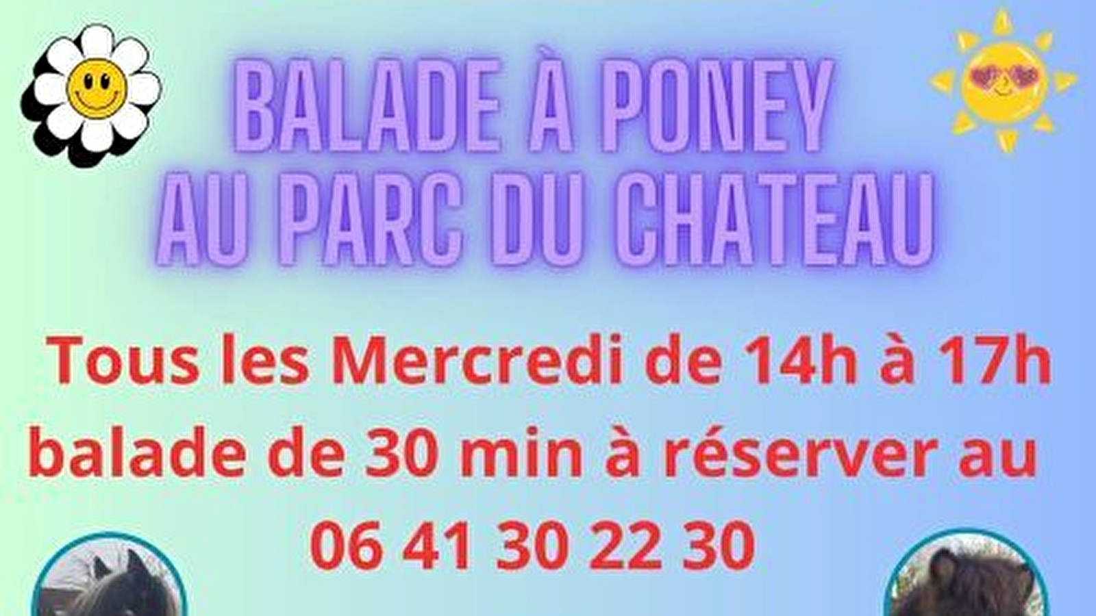 Balade à  poneys au château