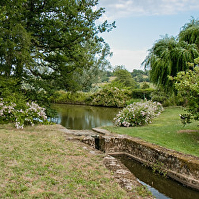 La Grande Sauve