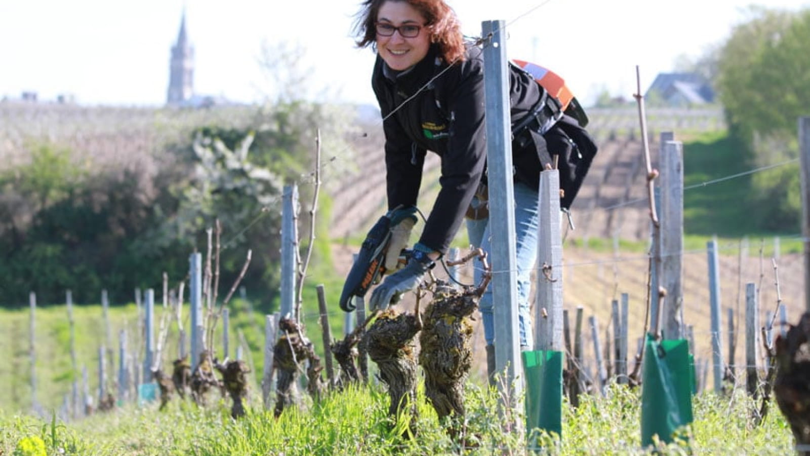 Domaine Marielle & Claude Michot