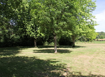 Camping de la Base de loisirs Activital de Baye - BAZOLLES