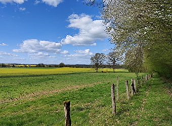 Circuit VTT du Bazois : entre bocage et Bois de Dély - CHATILLON-EN-BAZOIS