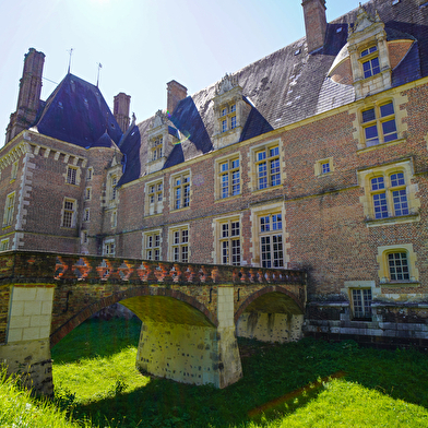 Château de Saint-Amand-en-Puisaye - Salle de réception