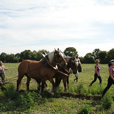 Rétromoisson à Saint-Loup-des-Bois au MUMAR (Musée de la Machine Agricole)